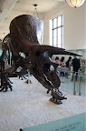 _DSC0022.NEF (Raw)