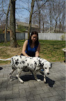 DSC_0003.NEF (Raw)