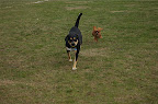 DSC_0014.NEF (Raw)