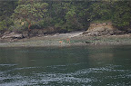 DSC_0072.NEF (Raw)