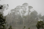 _DSC0001.JPG