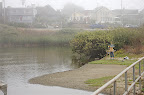 _DSC0055.NEF (Raw)