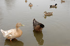 _DSC0031.JPG