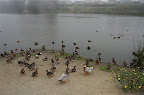 _DSC0051.NEF (Raw)