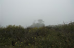 _DSC0060.NEF (Raw)