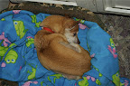 DSC_0055.NEF (Raw)