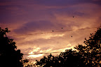 _DSC0016.JPG