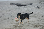 Augie loves soccer