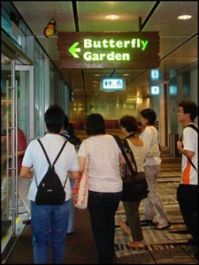 [ChangiT3-20090516_1457-640.jpg]