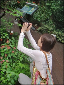 [ChangiT3-20090516_1480-640[1].jpg]