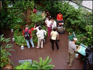 [ChangiT3-20090516_1467-640.jpg]
