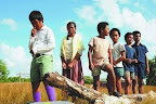 laskar pelangi in frame