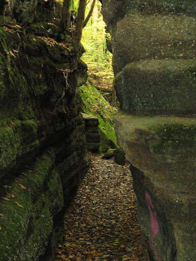falls%20ride%202009%20081.JPG