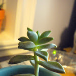 DSCN0056.JPG