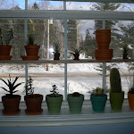 DSCN0186.JPG