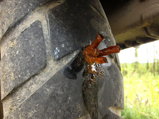 &ndash; Double Tire Plug