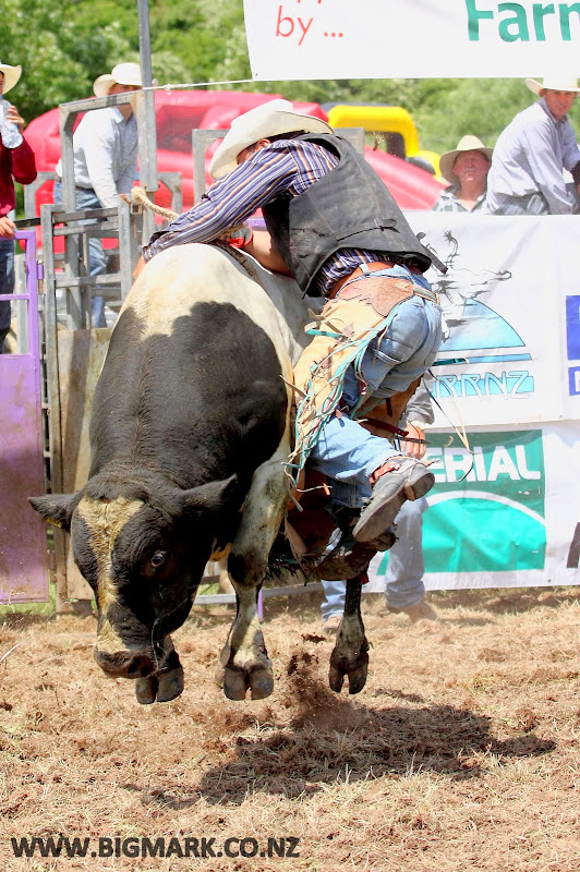 IMAGE: http://lh3.ggpht.com/_a_v5U7guC1c/TO9hyvrx1eI/AAAAAAAAdjU/1UqKjMuAM2g/s800/BULLRIDE_0423.JPG