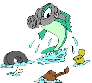 Calidad Del Agua