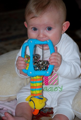 [DSC_8374[6].jpg]