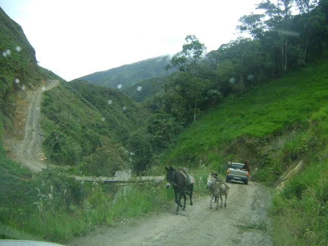 [DSC041783.jpg]