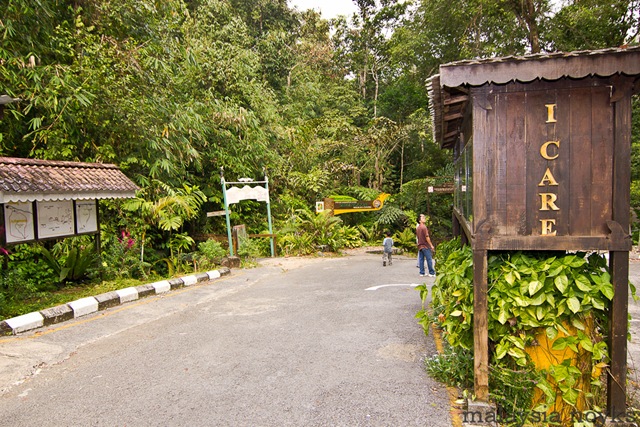 [Semengoh Orangutan Rehabilitation Center 1[3].jpg]