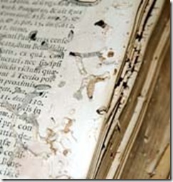 comejen libro comejen libro