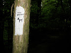 (endless) small hills park
