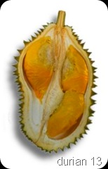 durian3