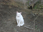 DSC05024.jpg