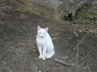 DSC05024.jpg