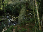 DSC05029.jpg