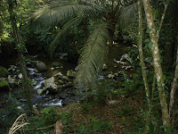 DSC05029.jpg