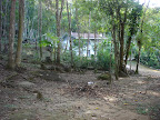 DSC05031.jpg