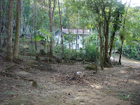 DSC05031.jpg