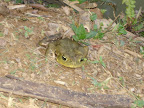 DSC05090.jpg DSC05090.jpg