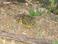 DSC05090.jpg