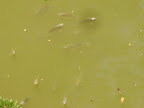 DSC05131.jpg
