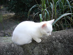 DSC05020.jpg DSC05020.jpg