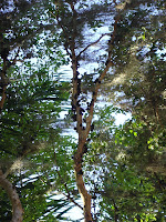 DSC05072.jpg