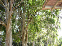 DSC05074.jpg