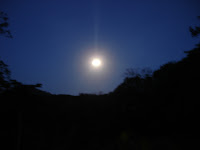 DSC05115.jpg