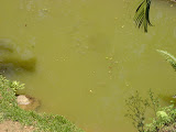 DSC05128.jpg