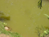 DSC05128.jpg