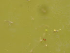 DSC05129.jpg