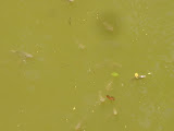 DSC05129.jpg