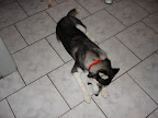 DSC05438.JPG