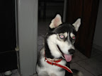 DSC05445.JPG