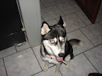 DSC05446.JPG