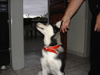 DSC05447.JPG