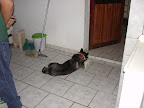 DSC05451.JPG